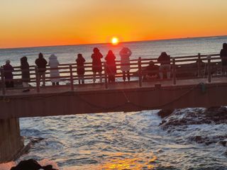 화성농원님의 2025년 새해 일출 보셨나요? · 참여글 작성글 사진