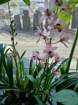 팜모닝 자유주제·자유게시판 게시글 이미지