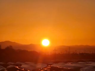 송희숙님의 2025년 새해 일출 보셨나요? · 참여글 작성글 사진