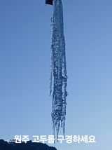 팜모닝 자유주제·자유게시판 게시글 이미지