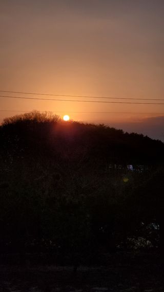 조은숙님의 2025년 새해 일출 보셨나요? · 참여글 작성글 사진