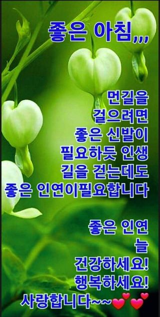 서천어리모산농장님의 자유주제 · 자유게시판 작성글 사진