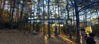 사과15865김도화님의 2025년 새해 일출 보셨나요? · 참여글 작성글 사진