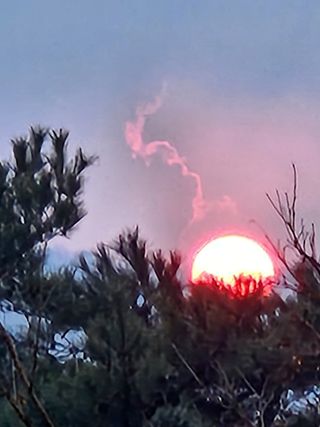 보리수치유농장님의 2025년 새해 일출 보셨나요? · 참여글 작성글 사진