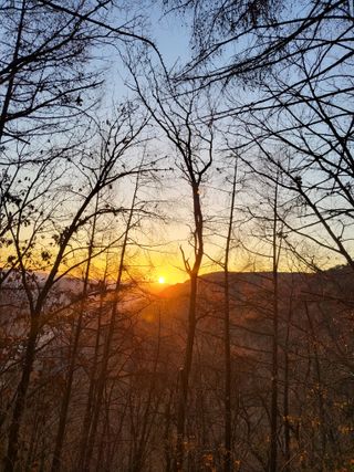 마늘님의 2025년 새해 일출 보셨나요? · 참여글 작성글 사진