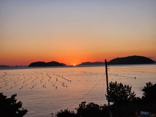 사과6329님의 2025년 새해 일출 보셨나요? · 참여글 작성글 사진