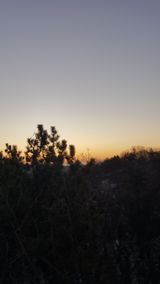 팜모닝 2025년 새해 일출 보셨나요?·참여글 게시글 이미지