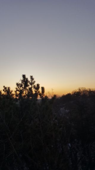 남병목님의 2025년 새해 일출 보셨나요? · 참여글 작성글 사진