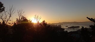 사과15865김도화님의 2025년 새해 일출 보셨나요? · 참여글 작성글 사진