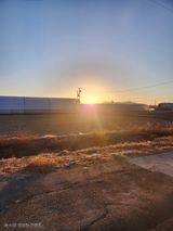 팜모닝 2025년 새해 일출 보셨나요?·참여글 게시글 이미지