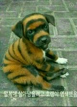 팜모닝 팜모닝 신년운세 공유해요☀️·참여글 게시글 이미지