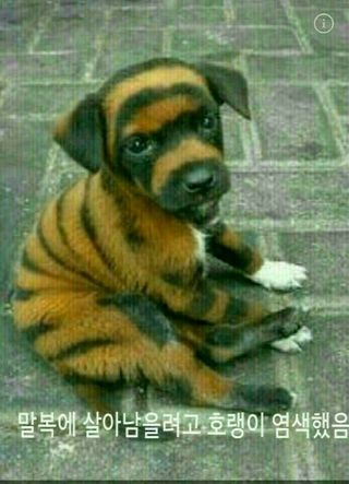 Farme님의 팜모닝 신년운세 공유해요☀️ · 참여글 작성글 사진