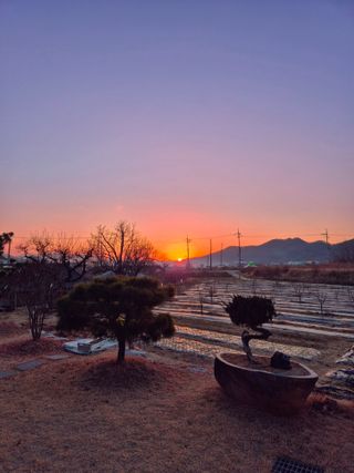 이승국님의 2025년 새해 일출 보셨나요? · 참여글 작성글 사진