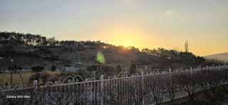 비학산인님의 2025년 새해 일출 보셨나요? · 참여글 작성글 사진