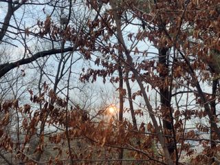 북극성짱님의 2025년 새해 일출 보셨나요? · 참여글 작성글 사진