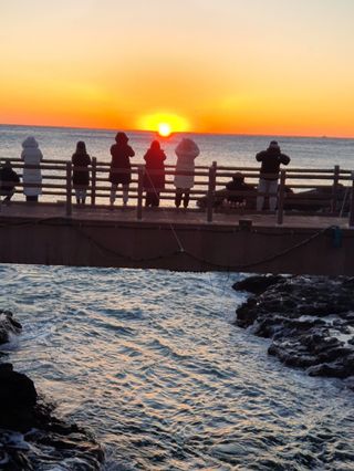 화성농원님의 2025년 새해 일출 보셨나요? · 참여글 작성글 사진