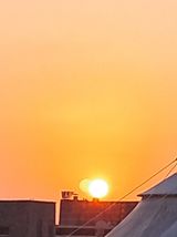 팜모닝 2025년 새해 일출 보셨나요?·참여글 게시글 이미지