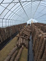 팜모닝 자유주제·자유게시판 게시글 이미지