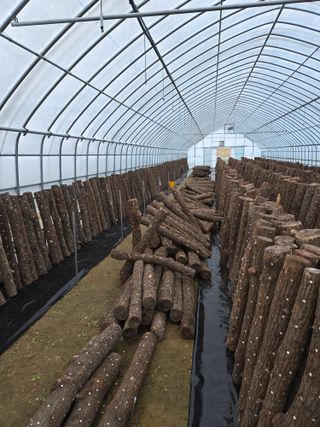 인더숲 님의 자유주제 · 자유게시판 작성글 사진