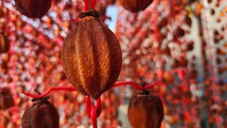 백용기님의 자유주제 · 자유게시판 작성글 사진