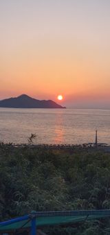 팜모닝 2025년 새해 일출 보셨나요?·참여글 게시글 이미지