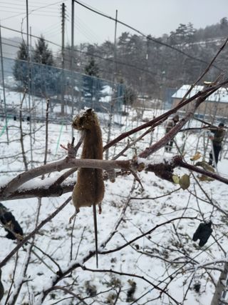 최용환 님의 자유주제 · 자유게시판 작성글 사진