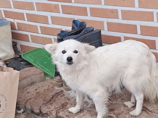 별빛농장지기님의 자유주제 · 자유게시판 작성글 사진