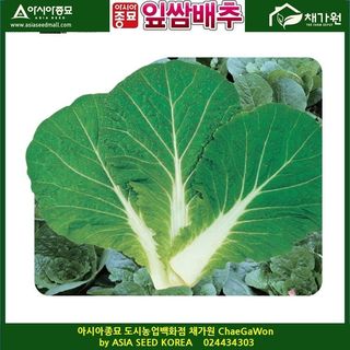 아시아종묘님의 자유주제 · 자유게시판 작성글 사진