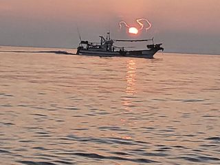 김은숙님의 작성글 사진