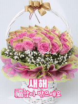 팜모닝 자유주제·자유게시판 게시글 이미지