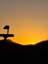 팜모닝 2025년 새해 일출 보셨나요?·참여글 게시글 이미지