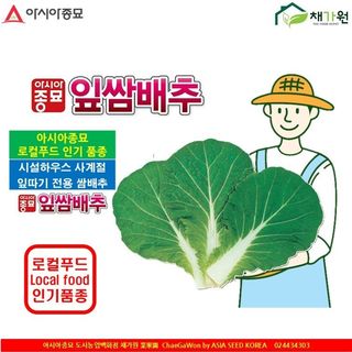 아시아종묘님의 자유주제 · 자유게시판 작성글 사진