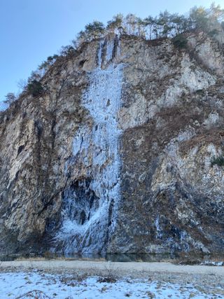 김유찬님의 팜모닝 신년운세 공유해요☀️ · 참여글 작성글 사진