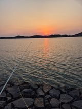 팜모닝 2025년 새해 일출 보셨나요?·참여글 게시글 이미지