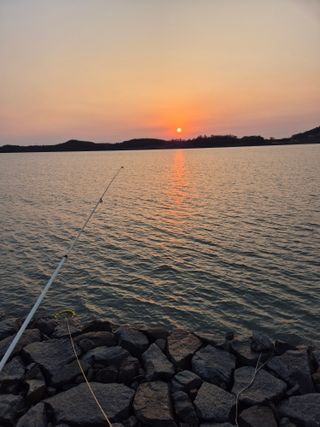 커피한잔의여유님의 2025년 새해 일출 보셨나요? · 참여글 작성글 사진