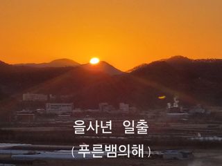 김성호님의 2025년 새해 일출 보셨나요? · 참여글 작성글 사진