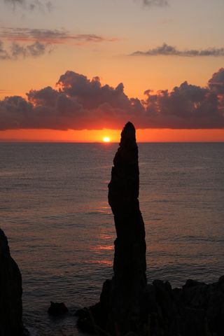 무지개님의 2025년 새해 일출 보셨나요? · 참여글 작성글 사진