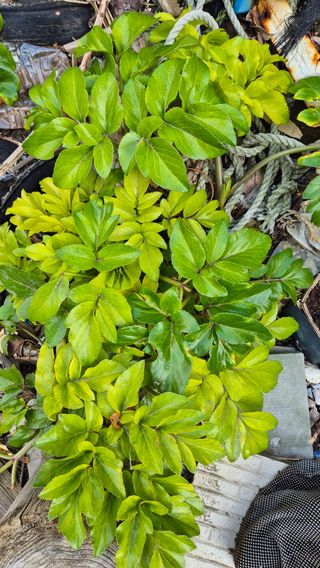 최용운님의 자유주제 · 자유게시판 작성글 사진