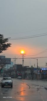 팜모닝 2025년 새해 일출 보셨나요?·참여글 게시글 이미지
