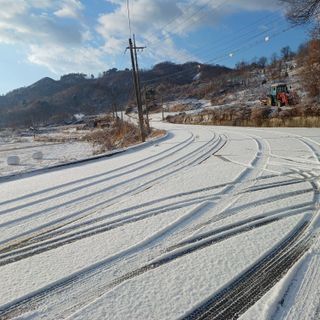 오영도님의 자유주제 · 자유게시판 작성글 사진