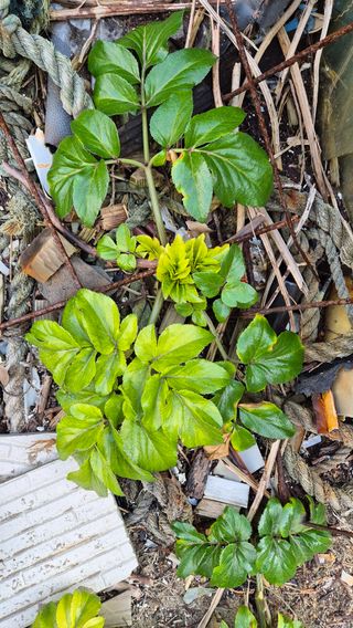 최용운님의 자유주제 · 자유게시판 작성글 사진