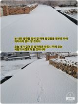 팜모닝 자유주제·자유게시판 게시글 이미지