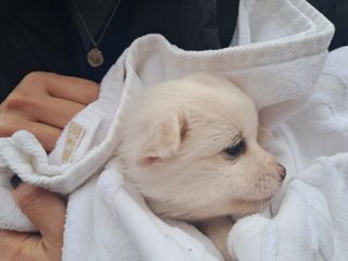 별빛농장지기님의 자유주제 · 자유게시판 작성글 사진