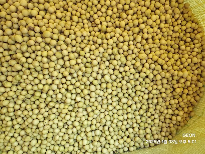 장터 상품 [콩 메주콩10kg] 썸네일