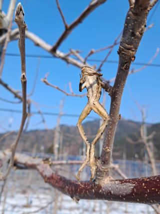 최용환 님의 자유주제 · 자유게시판 작성글 사진