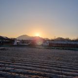 팜모닝 2025년 새해 일출 보셨나요?·참여글 게시글 이미지