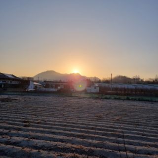 피치나라님의 2025년 새해 일출 보셨나요? · 참여글 작성글 사진