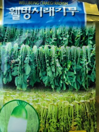 진촌다육묘목농원님의 자유주제 · 자유게시판 작성글 사진