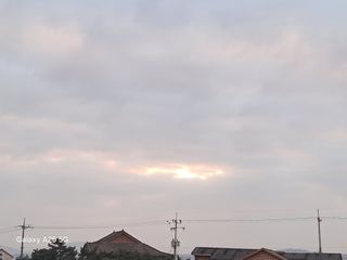 초보농사상도리님의 2025년 새해 일출 보셨나요? · 참여글 작성글 사진