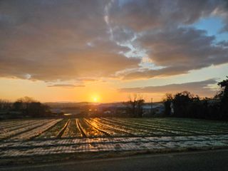 양간다리님의 2025년 새해 일출 보셨나요? · 참여글 작성글 사진
